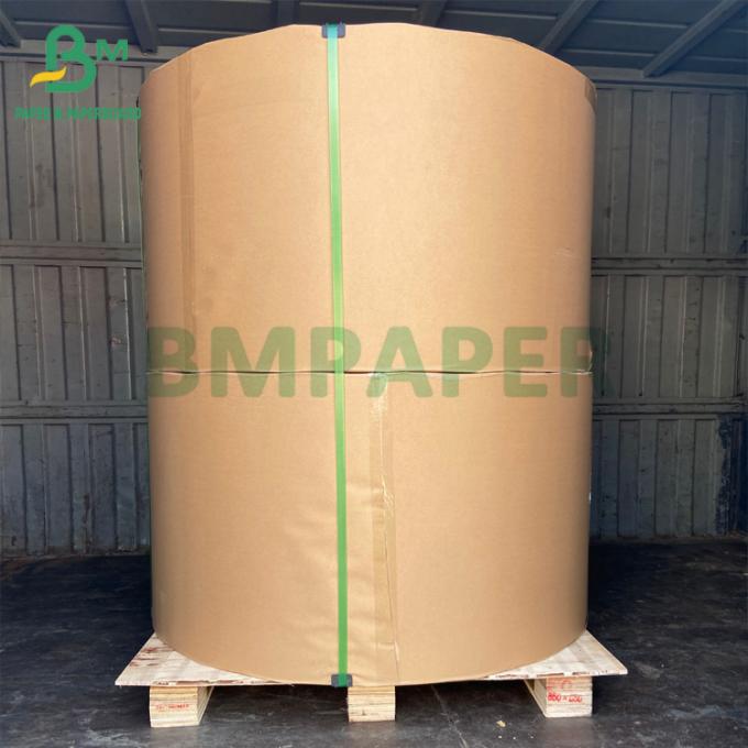 페이 코팅된 컵지