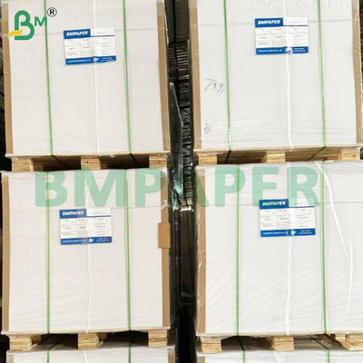 260 GSM 식품 등급 수분 저항성 PE 코팅 냉동 종이
