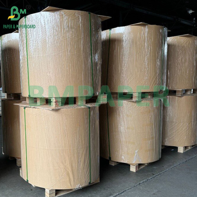 190 /240gsm18PE 매트 코팅 식품 물/커피 포장용 흰색 컵 종이 판