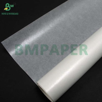24gm 식품 등급 백색 색상 유리질 종이 베이킹 컵 750 x 1000mm