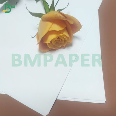 22-53mm 백색 식품 안전 짚 포장 Kraft 종이 롤 인쇄 가능