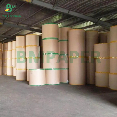 식품용 Kraft 320gsm + 20g PE 코팅 종이 커피 컵용 고량 900mm
