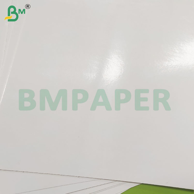 260 GSM 식품 등급 수분 저항성 PE 코팅 냉동 종이