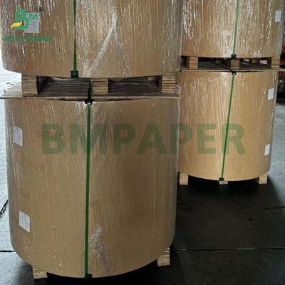 생분해성 100gm - 400gm 천연 사탕수수 바가세 펄프 베이스 종이 롤