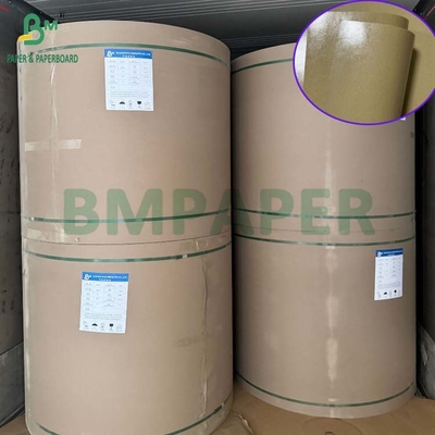 300gm Grease Proof 1 Side PE 코팅 된 캔버드 점심 상자 70 x 100cm