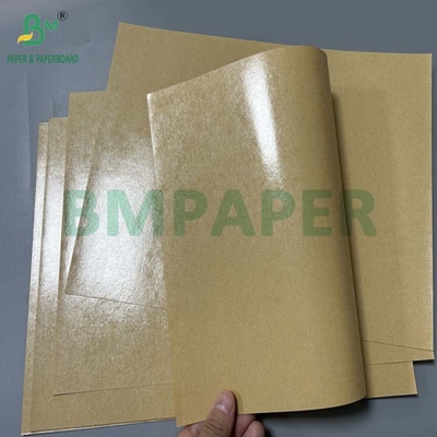 300gm Grease Proof 1 Side PE 코팅 된 캔버드 점심 상자 70 x 100cm