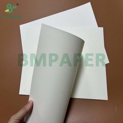 200mm 240mm 물 저항성 돌 종이 고기를 포장하기 위해 787 x 520mm