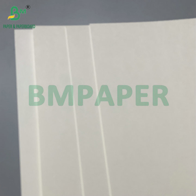 물 저항성 단일 PE 코팅 190gsm 210gsm 컵 스톡