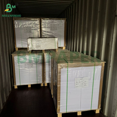 240gm 260gm 백색 인쇄용 컵1스 컵 제조용 종이 700mm 800mm