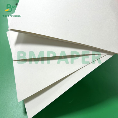 240gm 260gm 백색 인쇄용 컵1스 컵 제조용 종이 700mm 800mm