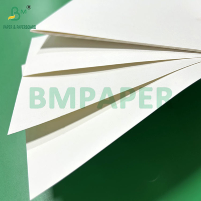 240gm 260gm 백색 인쇄용 컵1스 컵 제조용 종이 700mm 800mm
