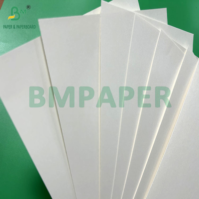 240gm 260gm 백색 인쇄용 컵1스 컵 제조용 종이 700mm 800mm