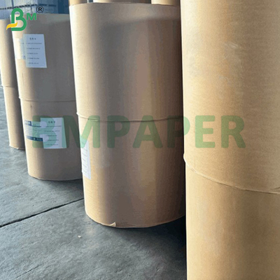 55gm BPA 없는 열 코팅 종이 덤보 롤 자연 / 높은 흰색 790mm 860mm