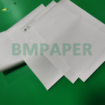 55gm 65gm 열용 종지 덤보 롤 POS 기계용 480mm 환경 친화적