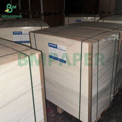 350GSM 400GSM 단면 유광 블리스터 카드보드 (열성형 트레이용)