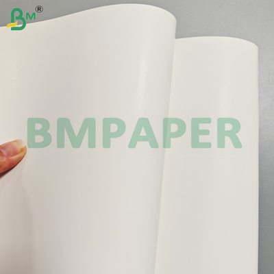 250Gsm 300Gsm 고직성 코끼리 카드보드