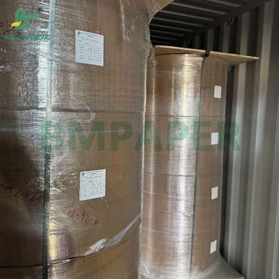 Degradable Food Grade Kraft Paper Roll 20gsm - 50gsm for Coffee Filtering