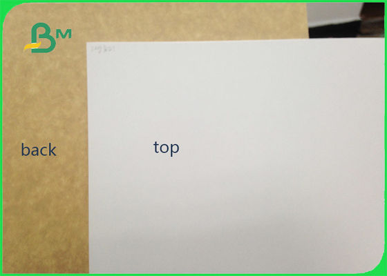 450gsm FSC는 포장을 위한 찰흙에 의하여 입힌 Kraft 뒤 음식 급료 종이 목록/백색 강선 종이를 증명했습니다