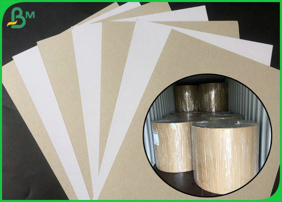 큰 목록 패킹에 있는 회색 뒤를 가진 FSC에 의하여 증명되는 입히는 이중 널 백색 측