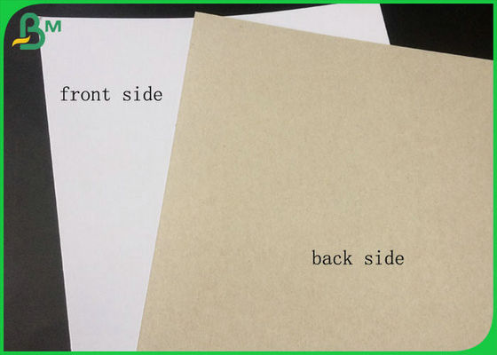 큰 목록 패킹에 있는 회색 뒤를 가진 FSC에 의하여 증명되는 입히는 이중 널 백색 측