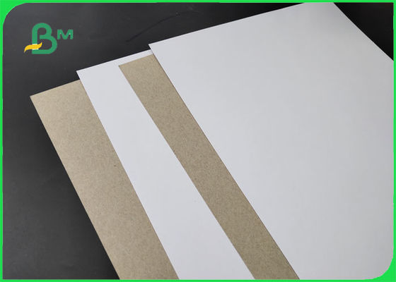 백색 1mm 2mm를 가진 FSC 250/300/400gsm C1S 회색 뒤 광택 있는 측 3mm