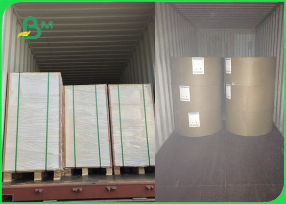 250gsm 270gsm 300gsm 백색 C1S 상아빛 널 겹 하나 측은 증명된 FSC를 입혔습니다