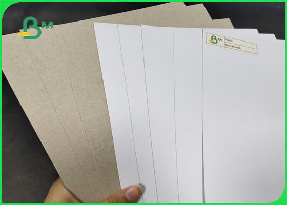 200 / 증명되는 SGS & FSC를 가진 회색 뒤 급료 AA 폭 1250mm를 가진 230gr C1S