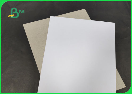 200 / 증명되는 SGS & FSC를 가진 회색 뒤 급료 AA 폭 1250mm를 가진 230gr C1S