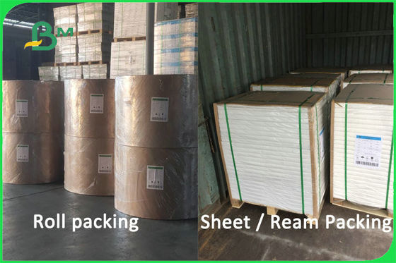 100% 처녀 펄프 생물 분해성 Uncoated 종이컵 물자 170 - 300gsm FDA FSC