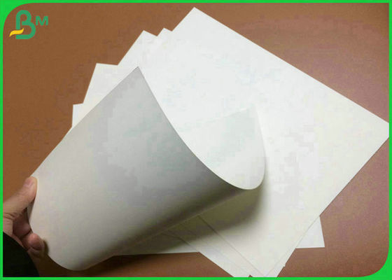 음식 상자를 위한 90% 800mm 900mm 순백 190g 210g 250g 음식 급료 상아빛 널