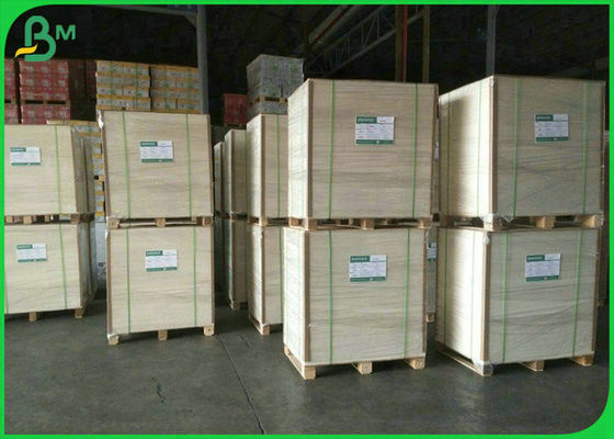 음식 상자를 위한 90% 800mm 900mm 순백 190g 210g 250g 음식 급료 상아빛 널