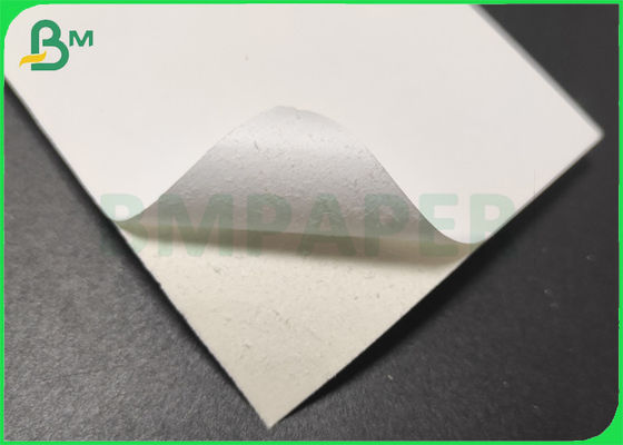 반대론자 240gsm명 - 냉장고 백서 마분지 일 측은 먹이 이사회를 코팅했습니다