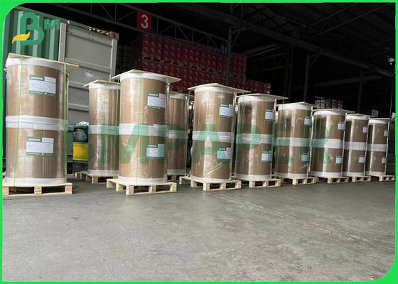 반대론자 240gsm명 - 냉장고 백서 마분지 일 측은 먹이 이사회를 코팅했습니다