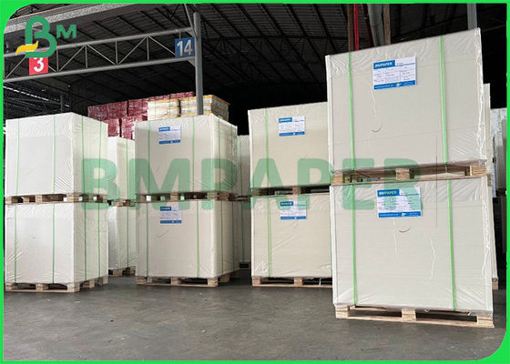 반대론자 240gsm명 - 냉장고 백서 마분지 일 측은 먹이 이사회를 코팅했습니다