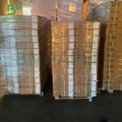 A3 A4 잉크젯 인쇄 사진 스튜디오 초상화 배경 배경 종이