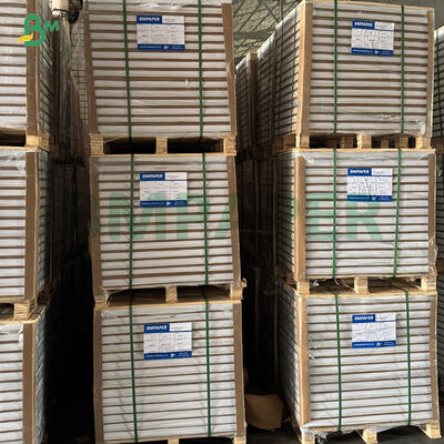 기름 방지 흰색 커피 노란색 녹색 컵케이크 라이너 머핀 베이킹 용지