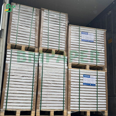 40gsm 고온 내열 컵케이크 오븐 베이킹 페이퍼 소형 케이크 시트