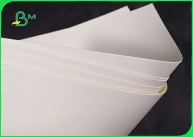 음식 그릇 720MM를 위한 생물 분해성 190gsm 210gsm Cupstock 기본 종이 860MM
