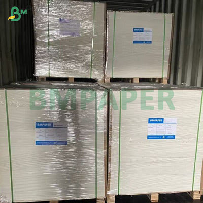 식품 등급 FDA 240gsm 방수 백화 된 컵 베이스 종이