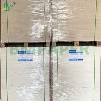 담배 포장용 100gsm 단면 광택 C1S 종이 시트