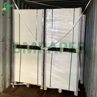 PET 코팅 식사 접시 종이 재질 흰색 음식 트레이 종이