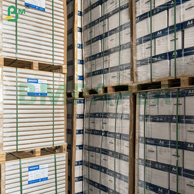 50/60gsm 얇은 투명 이미지 성경 용지 시트 (오프셋 인쇄용)