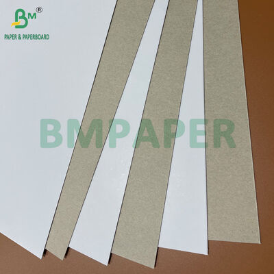 250gsm 300gsm 350gsm 400gsm 냉동 식품 포장용 CCNB 카튼 보드