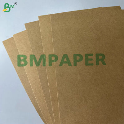 지방 및 누출 방지 PE PP 코팅 300gm330gsm식품 컨테이너 포지션