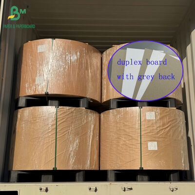 250gsm 300gsm 클레이 코팅 듀플렉스 보드 그레이 백 포장용 27.25x28인치