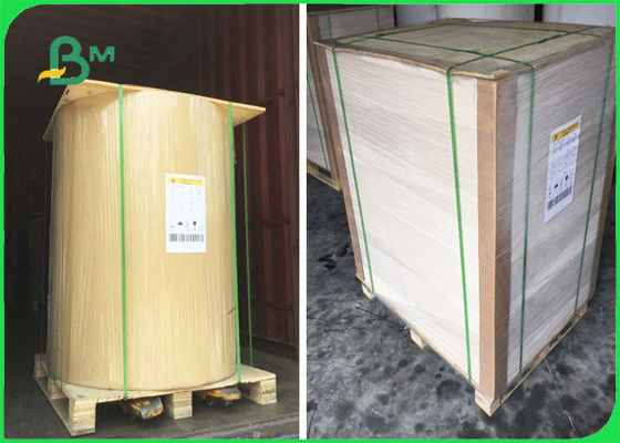 FSC는 증명했습니다 장에 있는 레코드의 B면 Kraft 종이를 1개의 옆 백색 32 × 40"