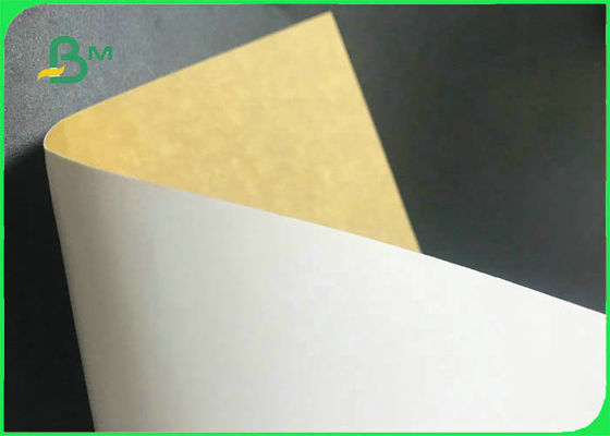 Kraft 환경 친절한 백색 최고 뒤 250gsm - 음식 포장을 위한 360gsm