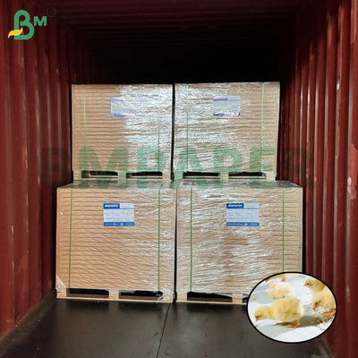 흰 닭 키우기용 종이 닭 키우기용 종이 66cm 100cm