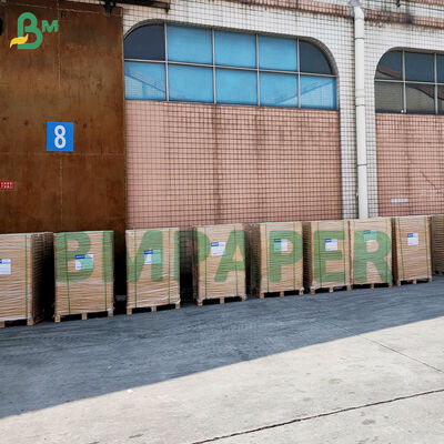 달콤한 컵케이크용 논스틱 라이너, 다채로운 기름 방지 파치먼트 머핀 라이너 종이