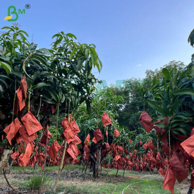56g 단면 백스 망고 재배용 빨간색 및 검은색 종지, 날씨에 견딜 수 있는 과일 보호 종이